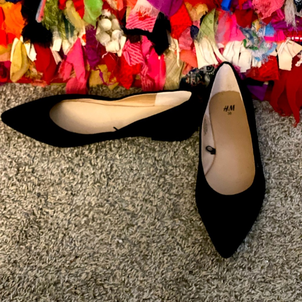 Pointy Toe ballet flats